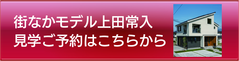 街なかモデル上田常入.jpg