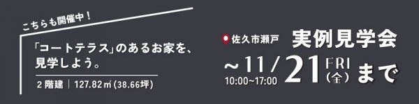 20251122-1206-sakuseto-kink banner.jpg