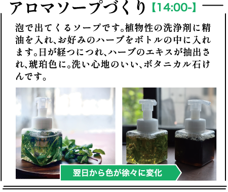 2508_soap.png