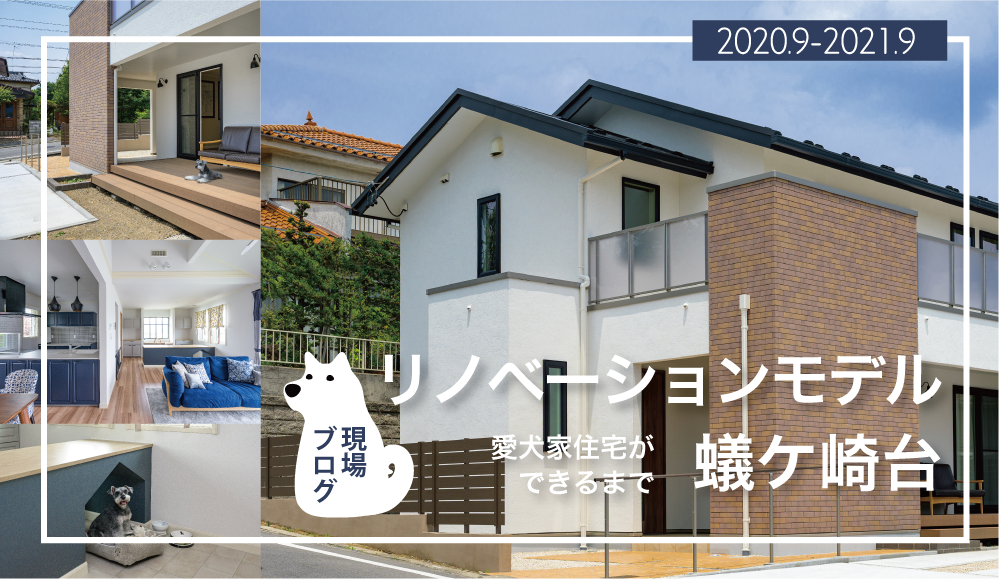 【現場ブログ】リノベーションモデル蟻ケ崎台「愛犬家住宅ができるまで」